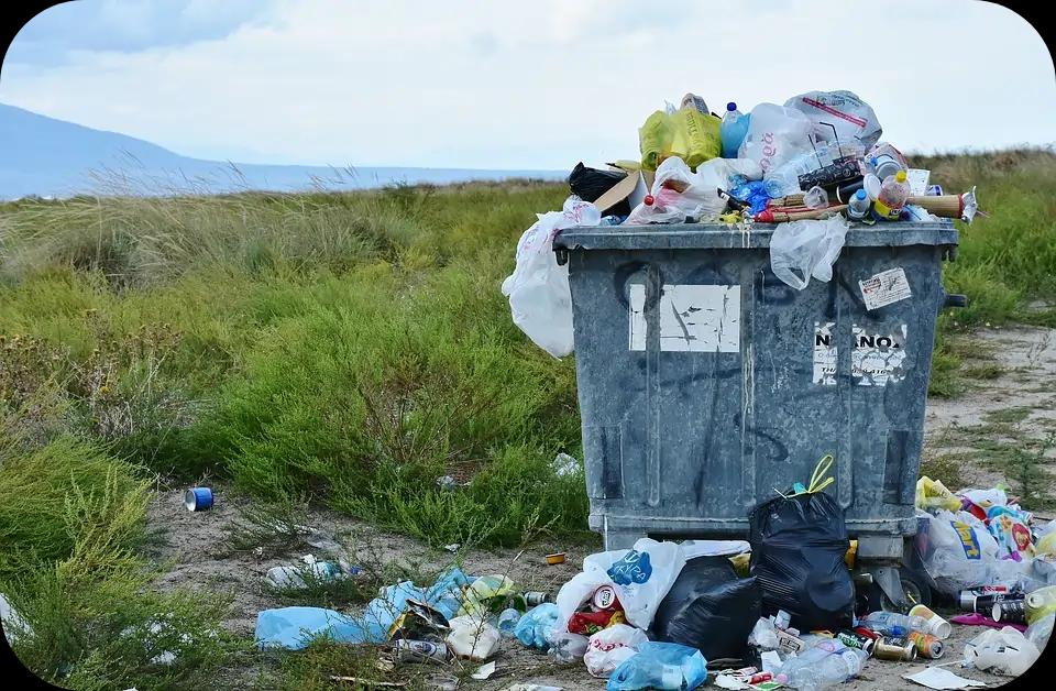 5 Everyday Trash Turns Into Cash Almost Instantly
